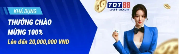 Chương trình VIP vswin