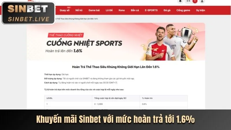 Chương trình VIP và đặc quyền tại Vswin